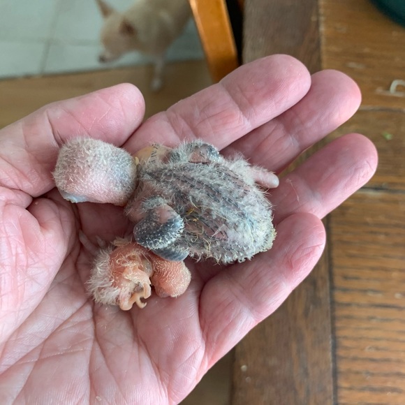 Meet your Posher, Karen - Picture 5 of 12